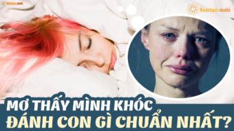 Ngủ mơ thấy Khóc đánh xổ số con gì