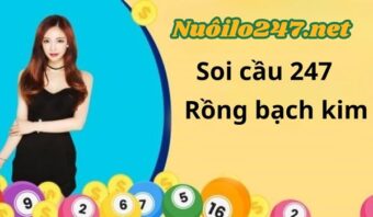 Soi cầu rồng bạch kim 888 ngày 10/10/26