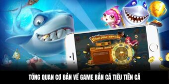 Tổng quan cơ bản về game bắn cá tiểu tiên cá