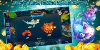 Thời điểm cần bảo toàn