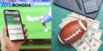 Nội dung chuyên sâu hỗ trợ soi kèo chính xác