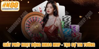 Giấy Phép Hoạt Động HM88 MVP