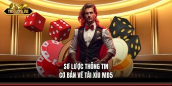 Sơ lược thông tin cơ bản về tài xỉu md5