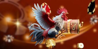 Đá gà 888VND mang lại trải nghiệm chân thực sống động