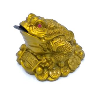 Mơ thấy con cóc nên đánh số gì