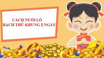 Kinh nghiệm nuôi bạch thủ khung 5 ngày